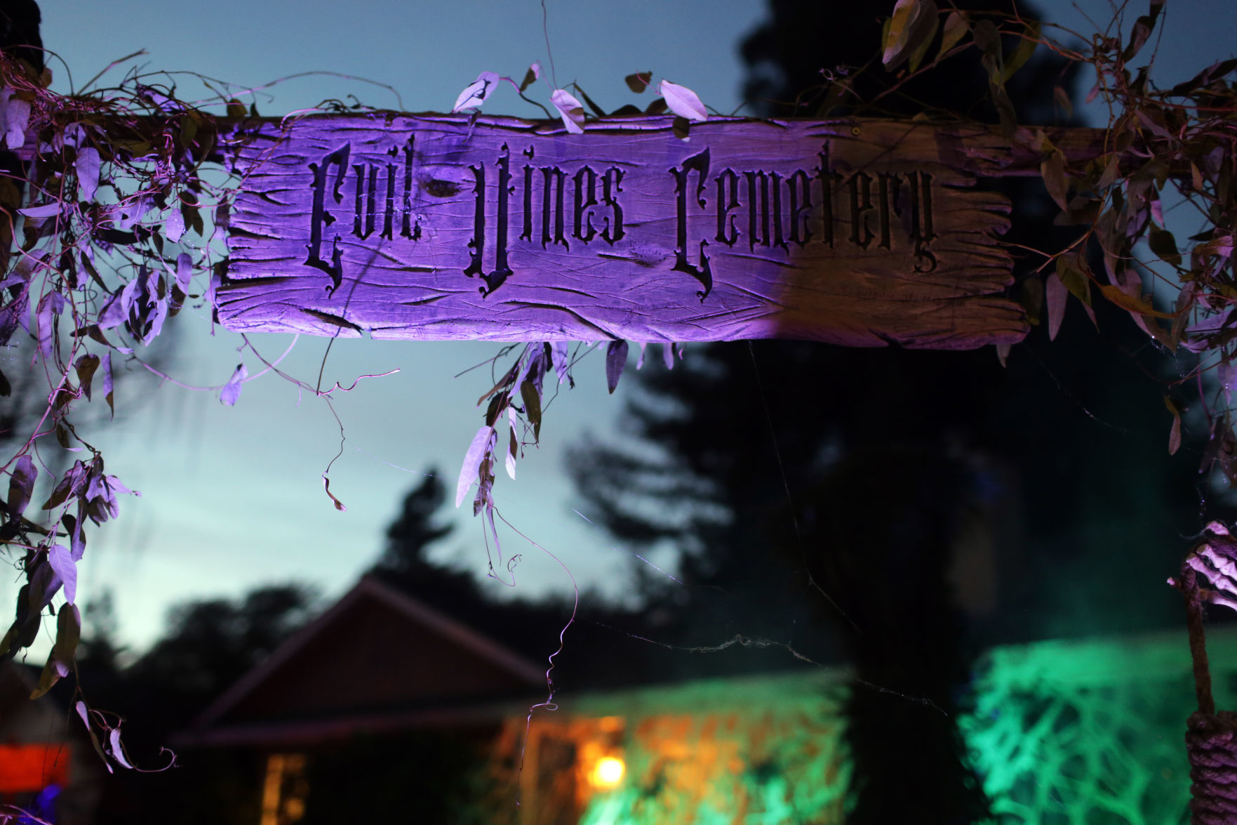 Evil Vines Cemetery